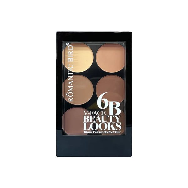 6-Color Contour & Highlight Palette